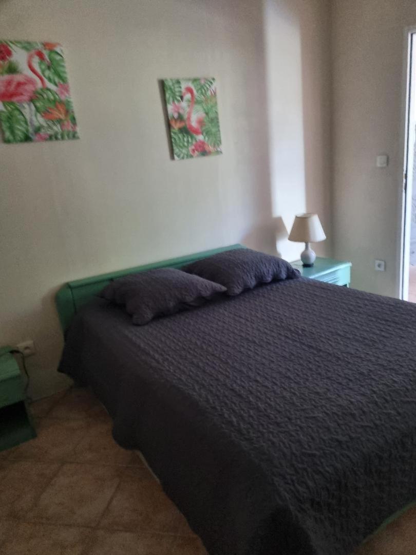 Les Conils - Gites Et Chambres D'Hotes Saint-Pierre-de-Vassols Kültér fotó